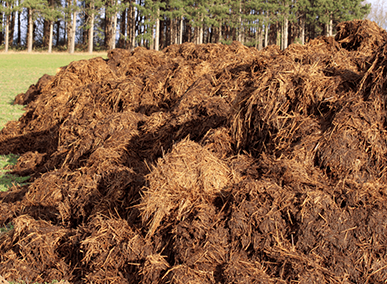 RIFIUTI-SPECIALI—rifiuti-agricoli-e-agro-industriali